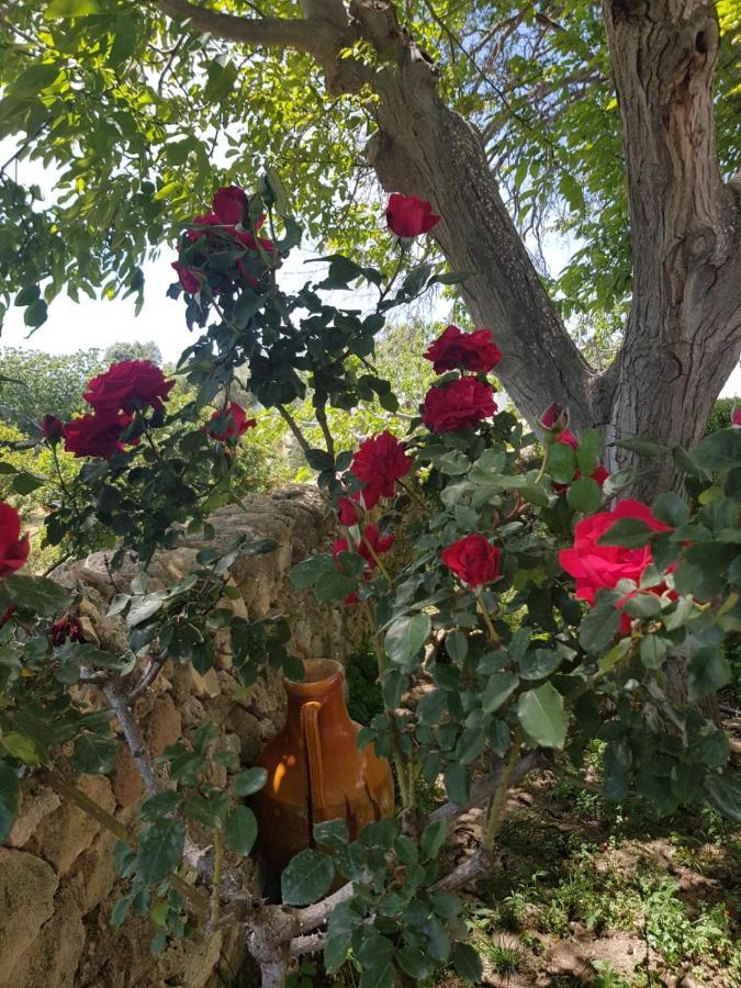 카스텔라네타 Trullo Del Cavaliere Delle Gravine 빌라 외부 사진