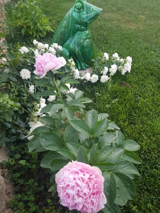 카스텔라네타 Trullo Del Cavaliere Delle Gravine 빌라 외부 사진