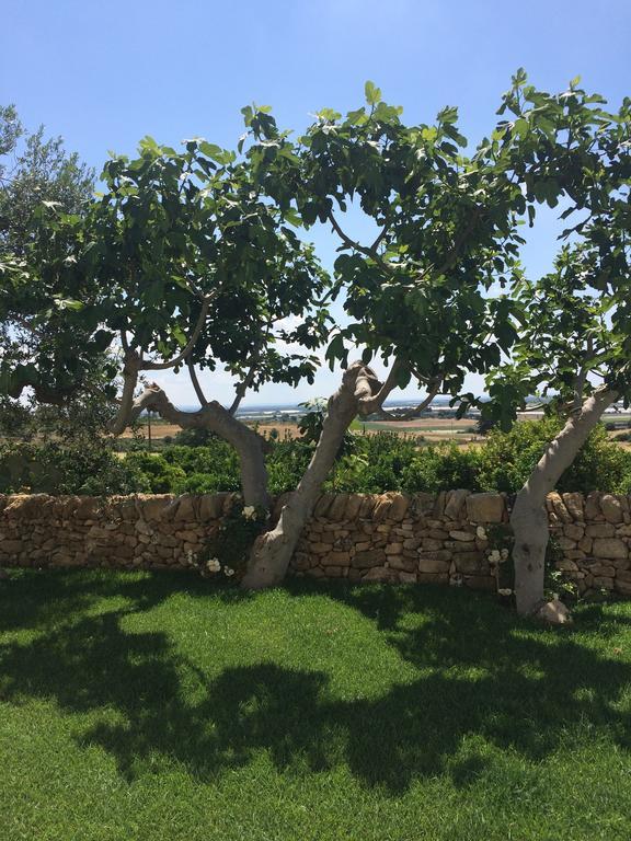 카스텔라네타 Trullo Del Cavaliere Delle Gravine 빌라 외부 사진